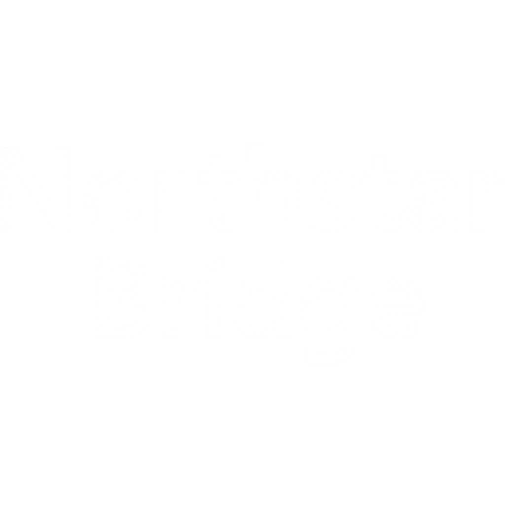 northstarbridgegroup.com